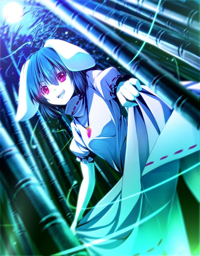 腹黑兔(东方图集)