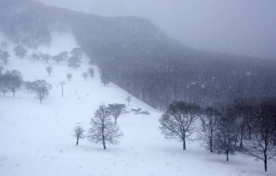 下雪天 如何拍出雪花飞舞的动感 6种拍摄技法拍出动感落雪照片 哔哩哔哩