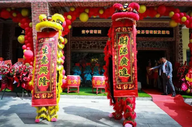 中格文化 热烈祝贺别卡速红酒黄金屋国家馆盛大开业 哔哩哔哩