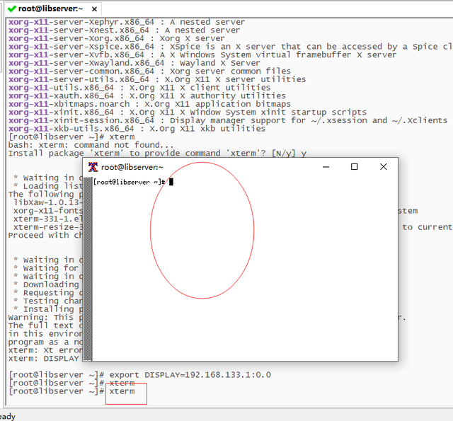 在rhel8中不存在xclock，请使用xterm代替xclock 哔哩哔哩