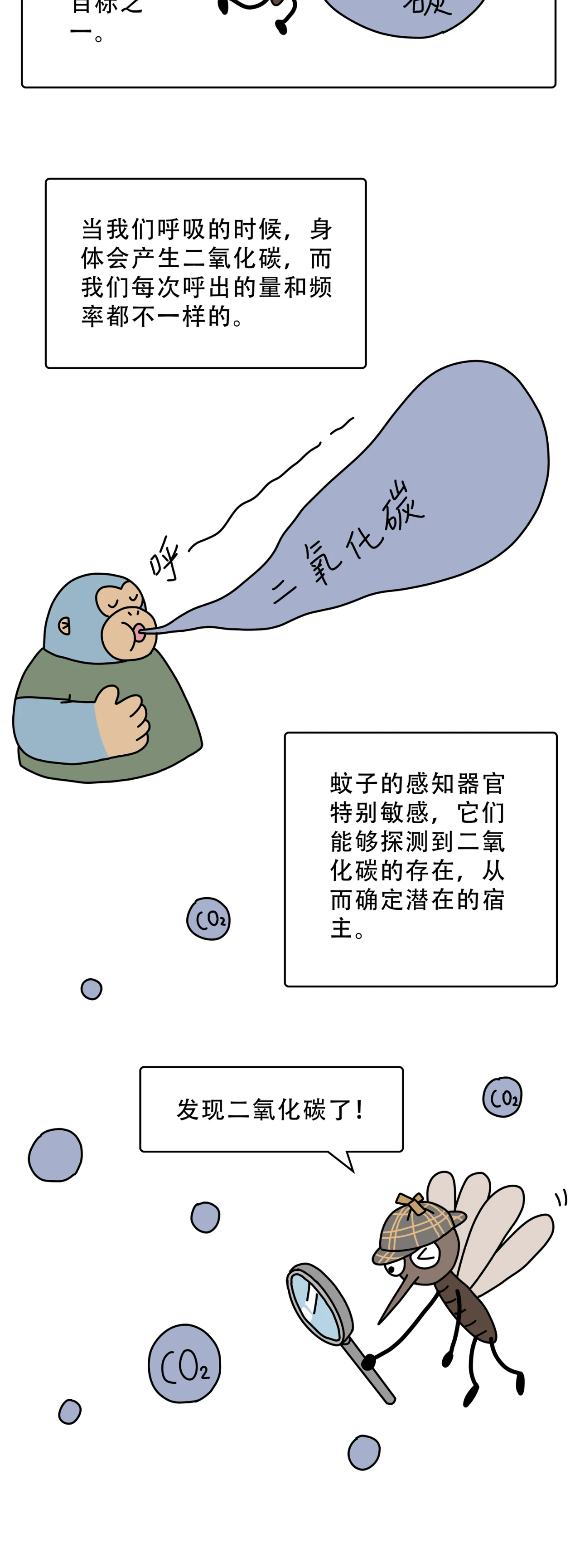 为什么蚊子只咬你不咬别人4