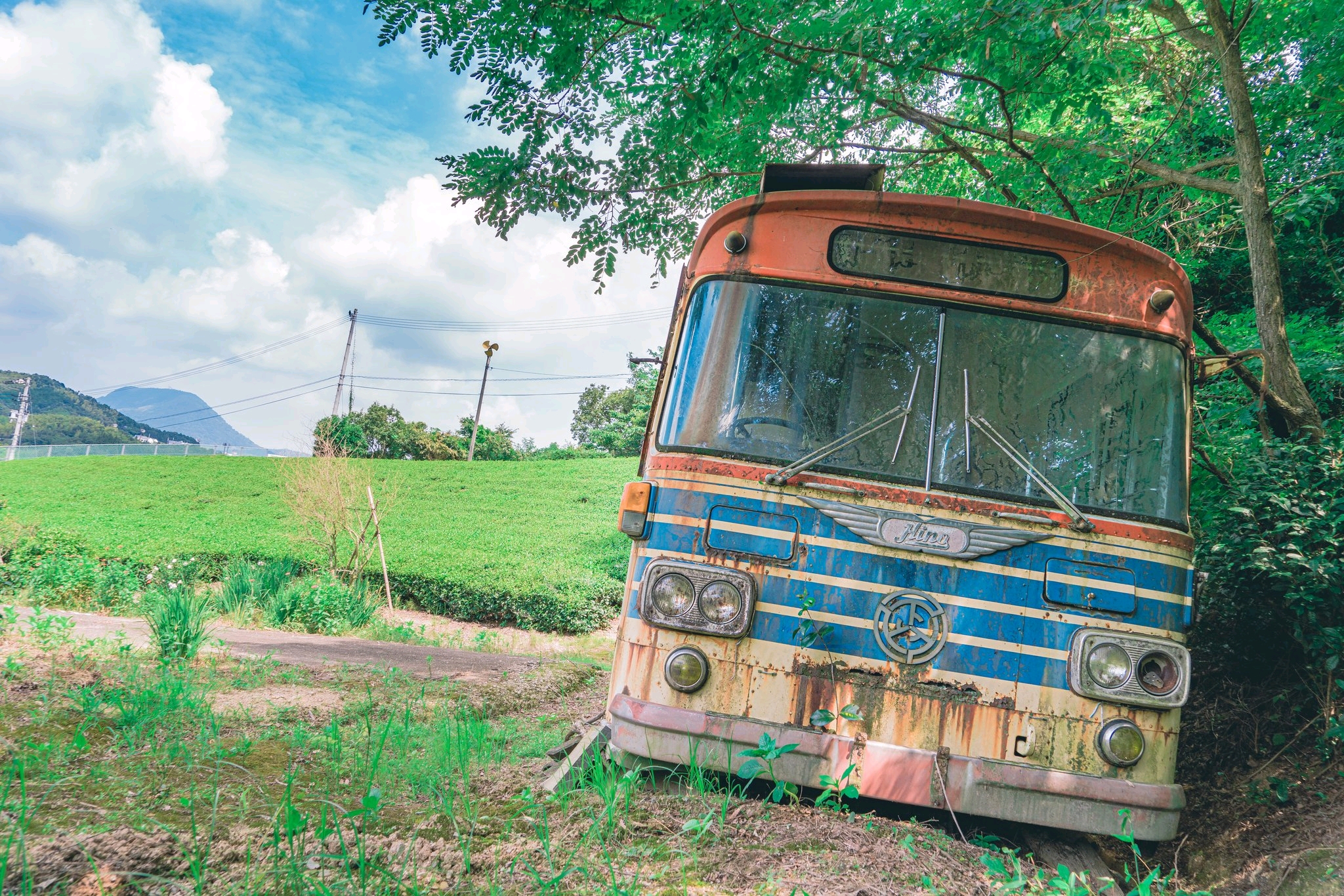 现实中的动漫场景!