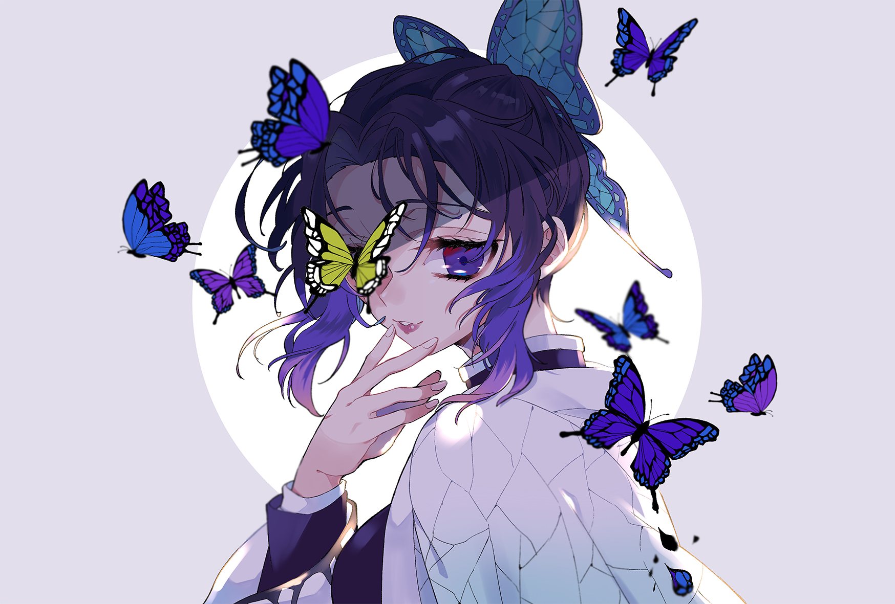 蝴蝶忍姐姐生日快乐