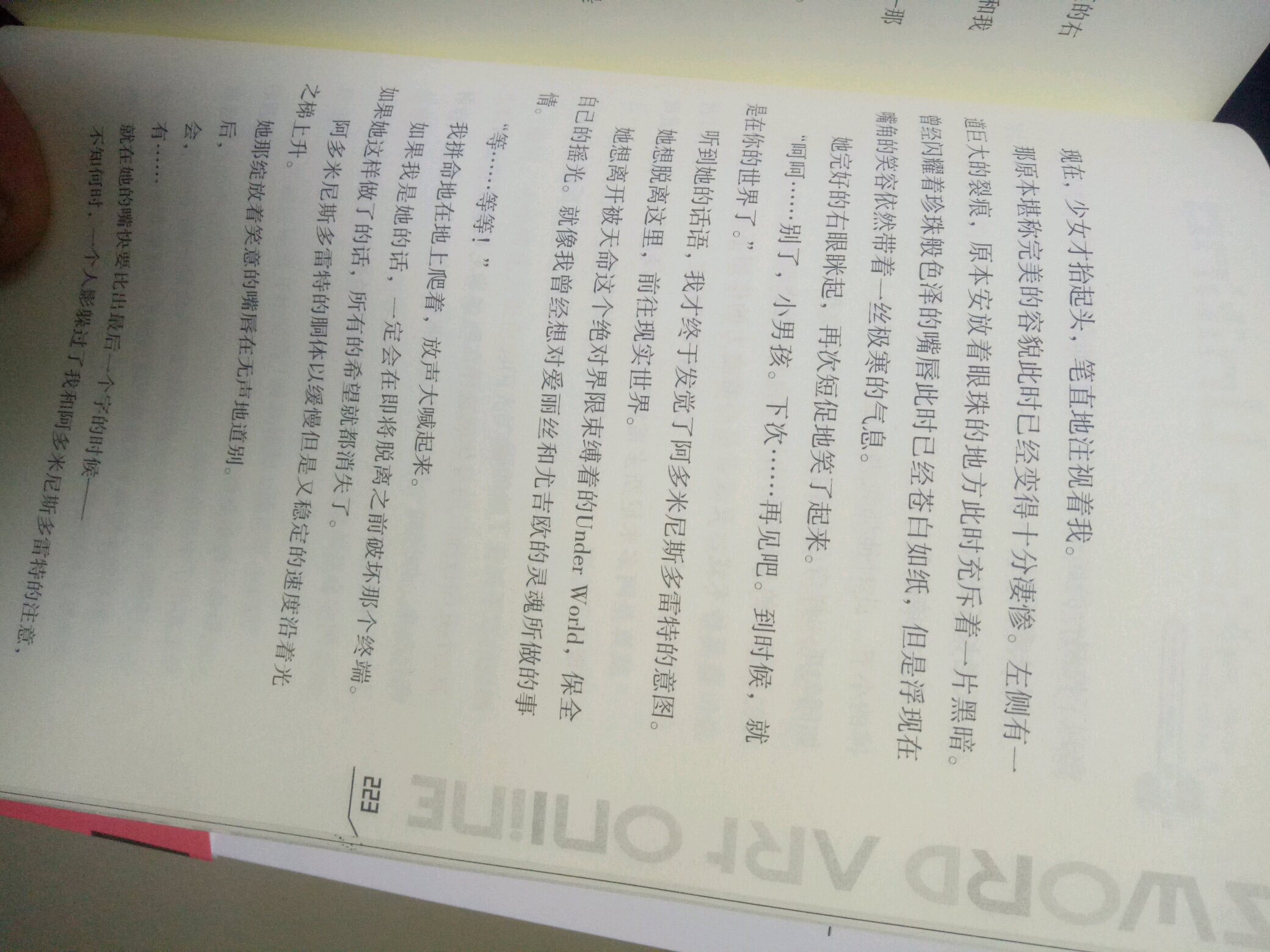 刀剑神域24集小说图片(其实就是剧透)