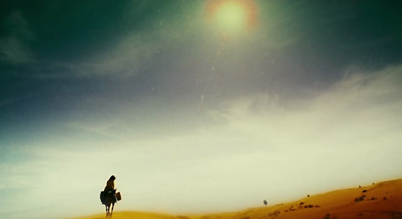 东邪西毒影评爱情里没有输赢