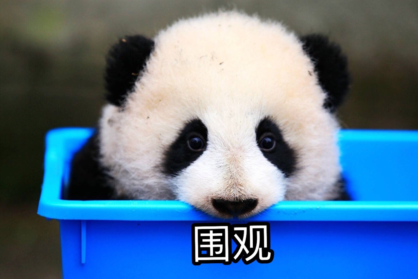 了很多节目,而且我觉得央视包括(国)家的一些媒体都比原来开放了很多