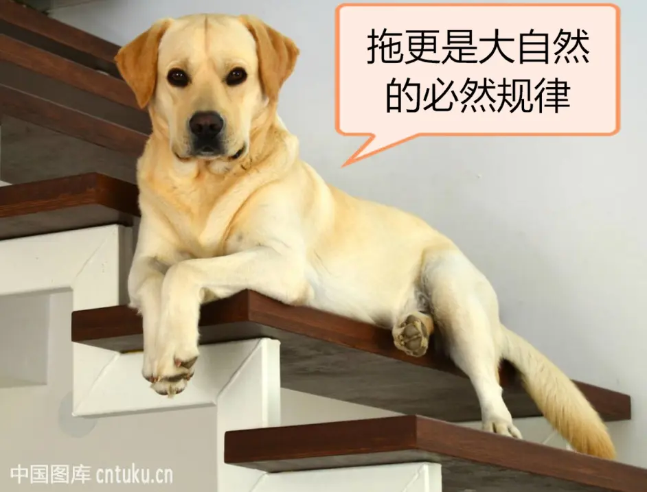 当你不把up主们当人看的时候 意外发现 哔哩哔哩