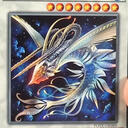 【游戏王】TCG1109新卡情报 Ghoti鱼族主题公布！电子界族LINK-2不死之身！