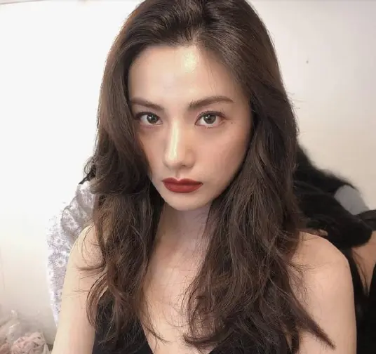 韩国最美脸蛋林珍娜 堪称 整形界的top 哔哩哔哩