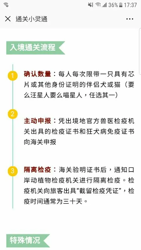 不要让这些格力犬死的比流浪狗还惨 哔哩哔哩