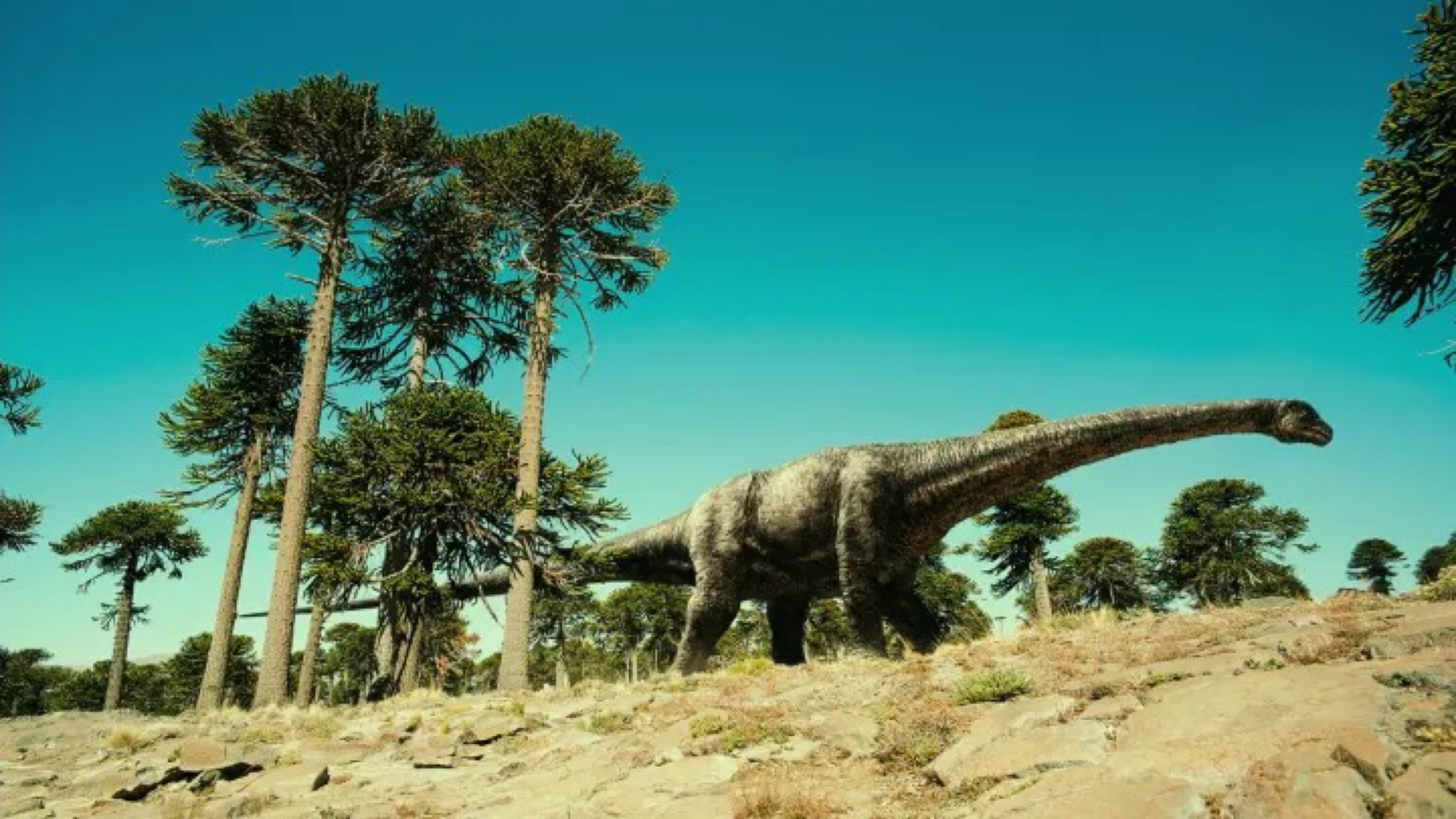 中国最大的恐龙来自新疆：长35米重80吨_凤凰网