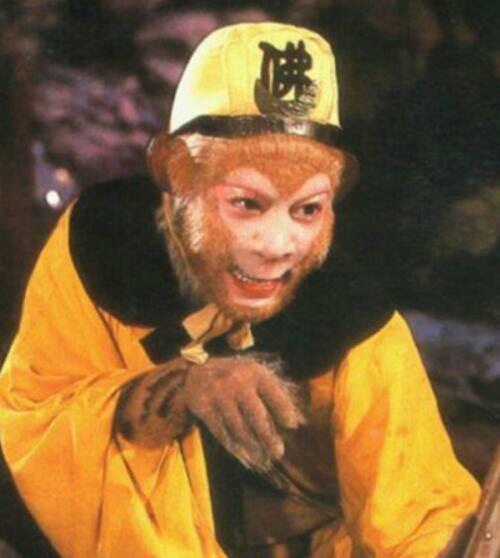 我们从"猴子猴孙"到人均"六学家"到底经历了什么?