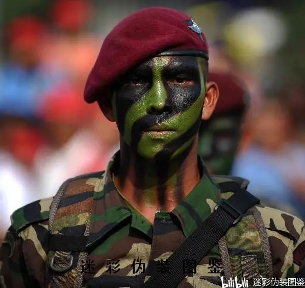 特种兵面部伪装都是斜条纹吗?还是有什么规则?