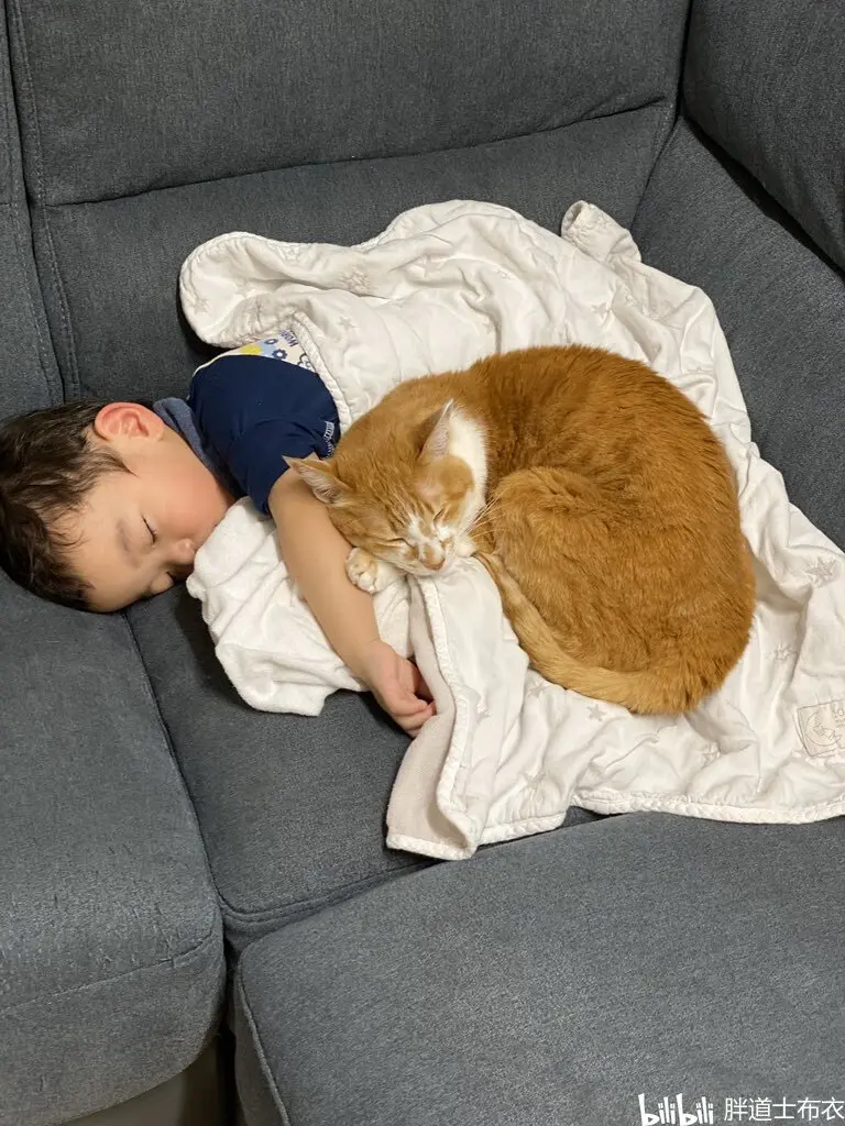 茅森早香选手的介绍 凤凰segasammy Phoenix 哔哩哔哩