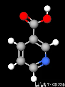 烟酸 Niacin 名称由来与氧化还原辅酶 哔哩哔哩
