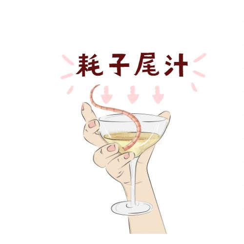 耗子尾汁表情新鲜出炉,快来试试吧