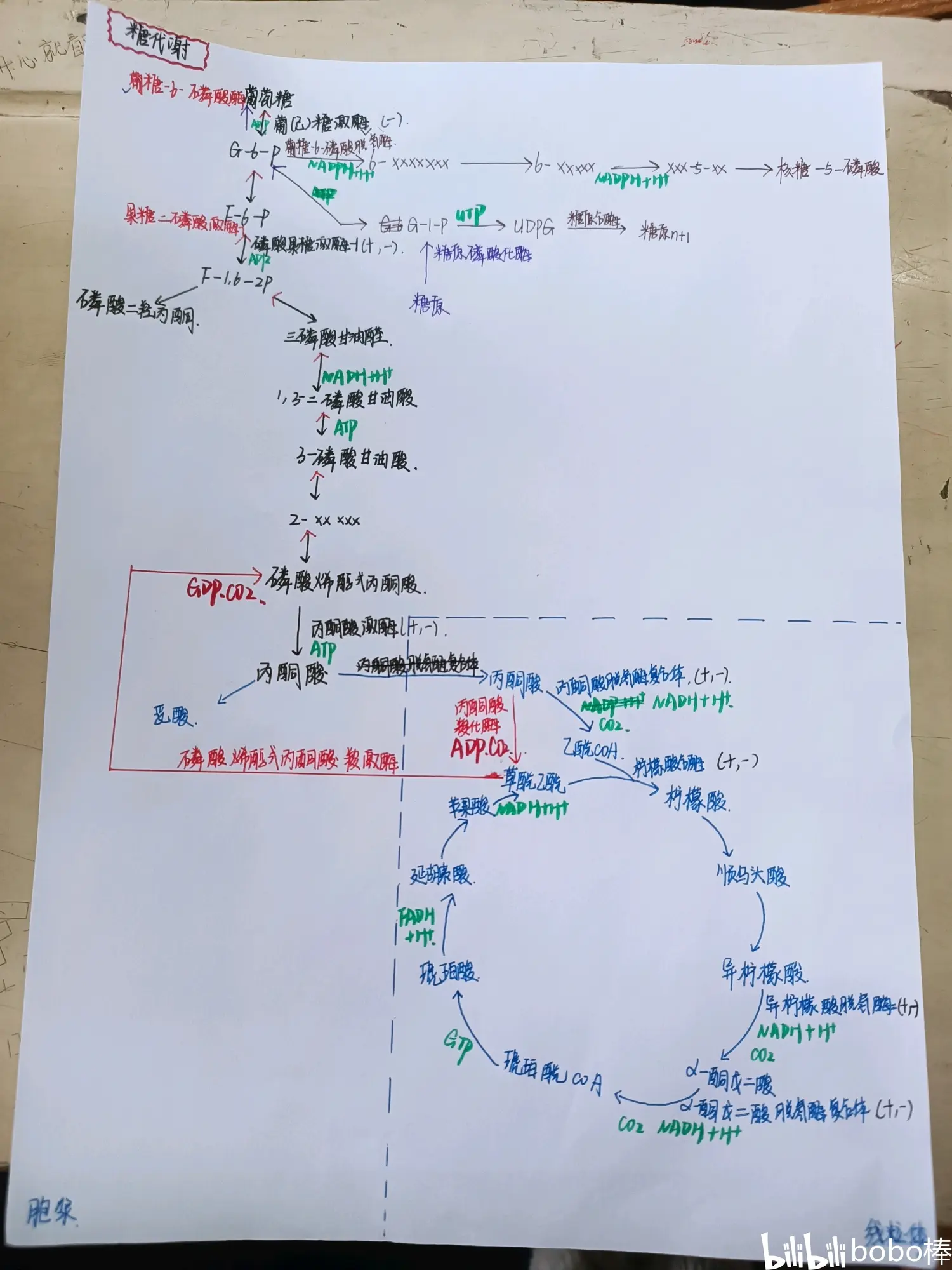 五碳糖的结构图图片