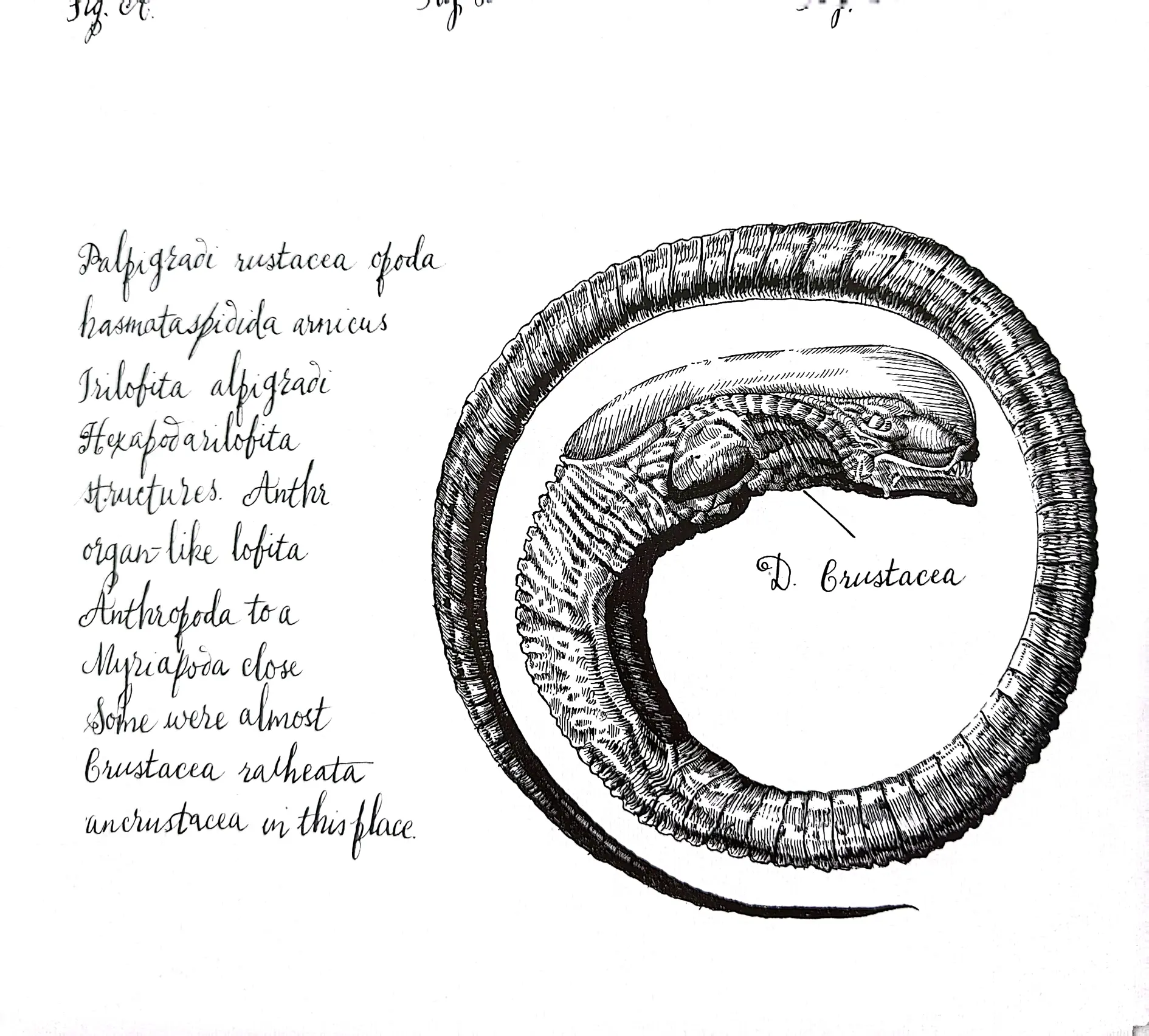 《异形》大卫手稿 赏析 - 上