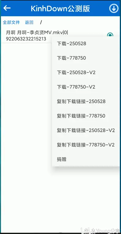 安卓KinhDown_v1.3.94公测版 百度云高速下载