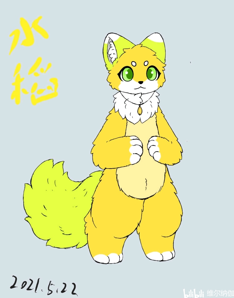 一只福瑞用自己的方式记住袁爷爷