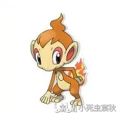 Pokemon无印 剑盾历代御三家盘点 仅初始形态 哔哩哔哩