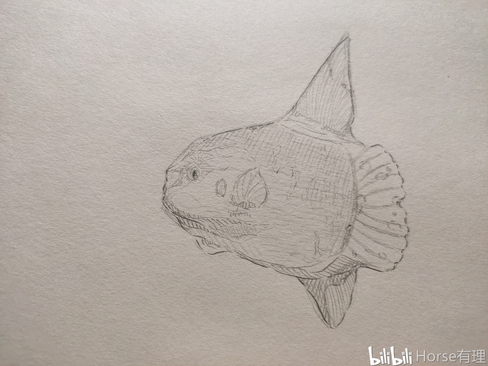 今日份练习 - 哔哩哔哩专栏