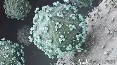 说说病毒 未有抗生素之前 花柳病是怎么治疗的 哔哩哔哩