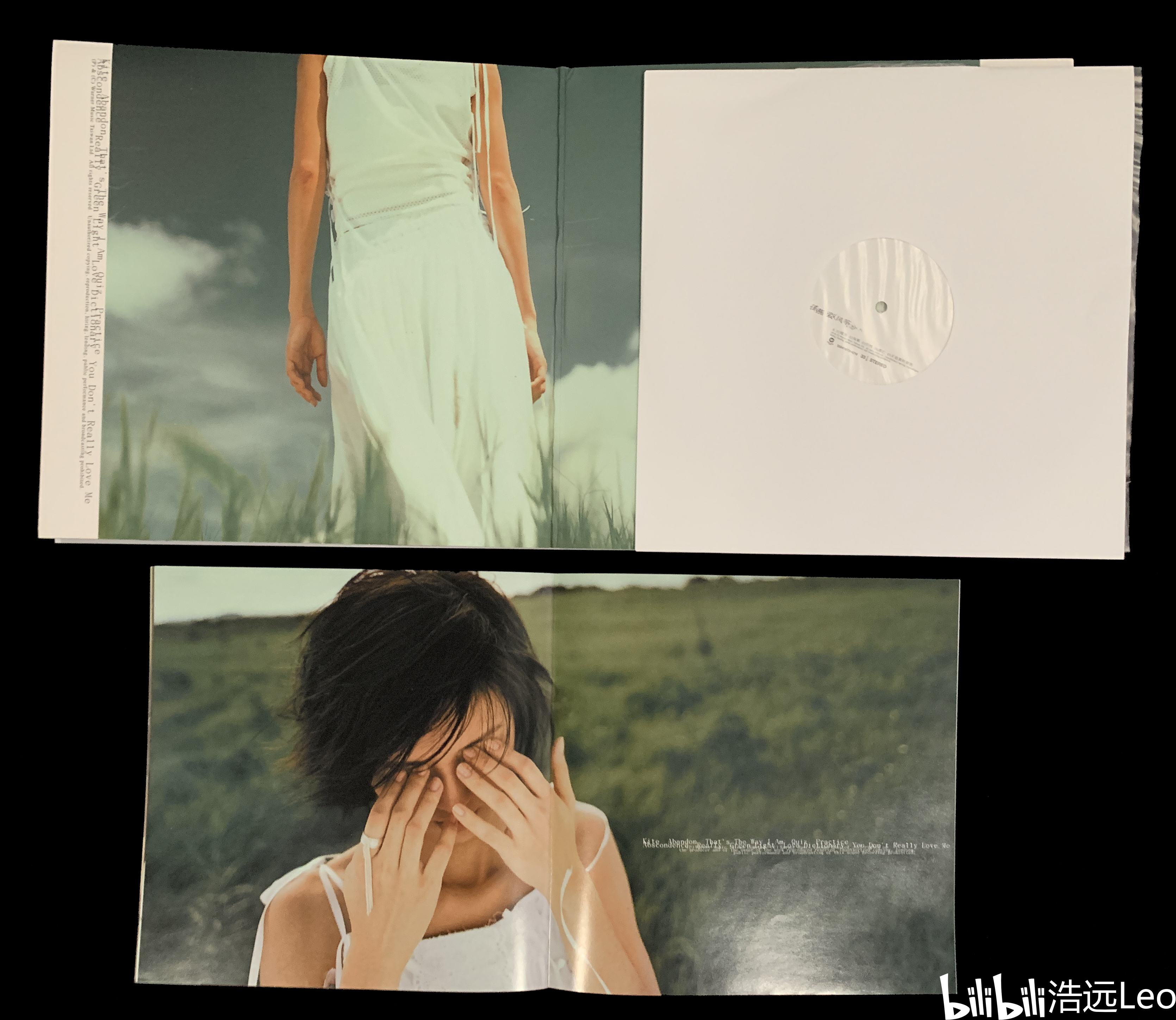 孙燕姿『风筝』黑胶图赏