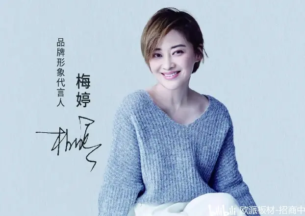 欧派板材专注中高端家具板材系统供应及配套服务.