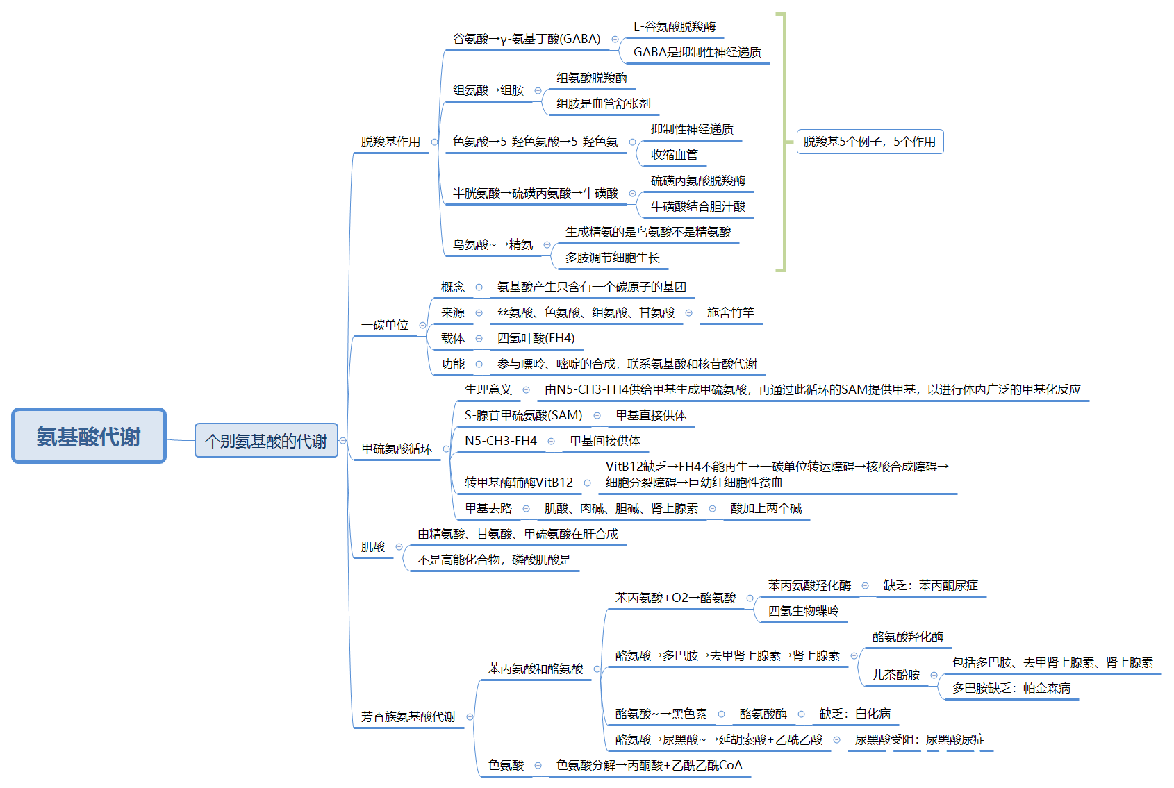 核苷酸代谢思维导图图片