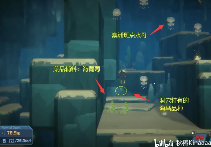 潜水员戴夫Dave the diver 小技巧+Tips+员工招聘+装备获取+鱼类收集 - 哔哩哔哩