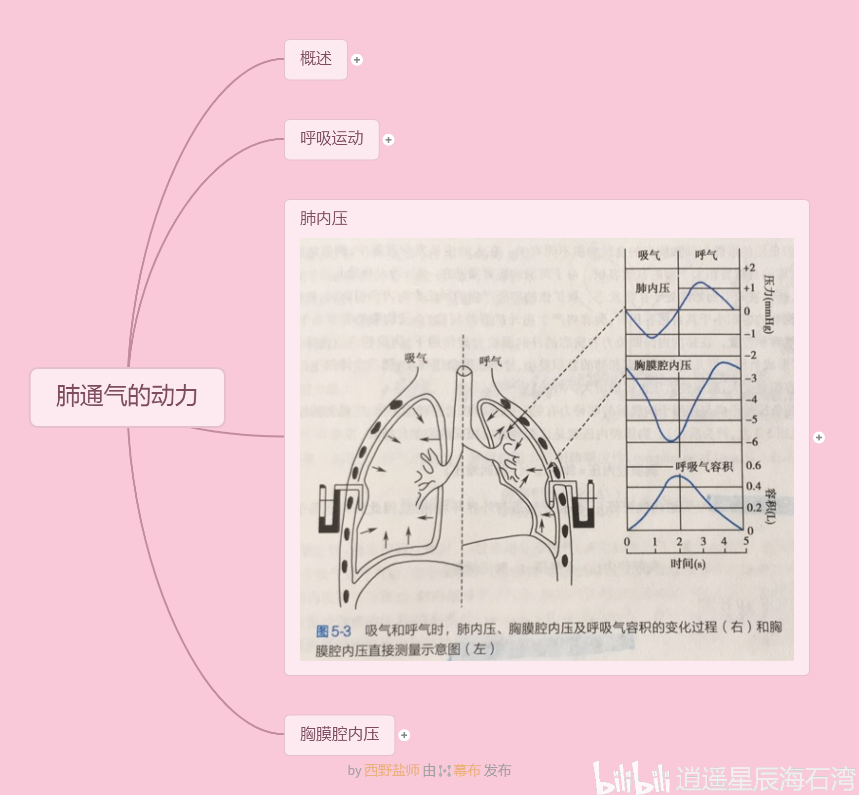 肺通气的动力概况