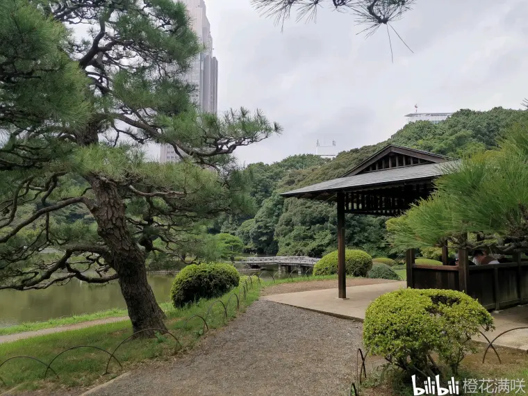 日本文化景点图鉴 新宿御苑 哔哩哔哩