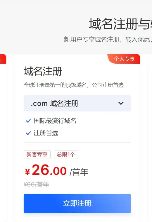 个人注册域名公司可以用吗