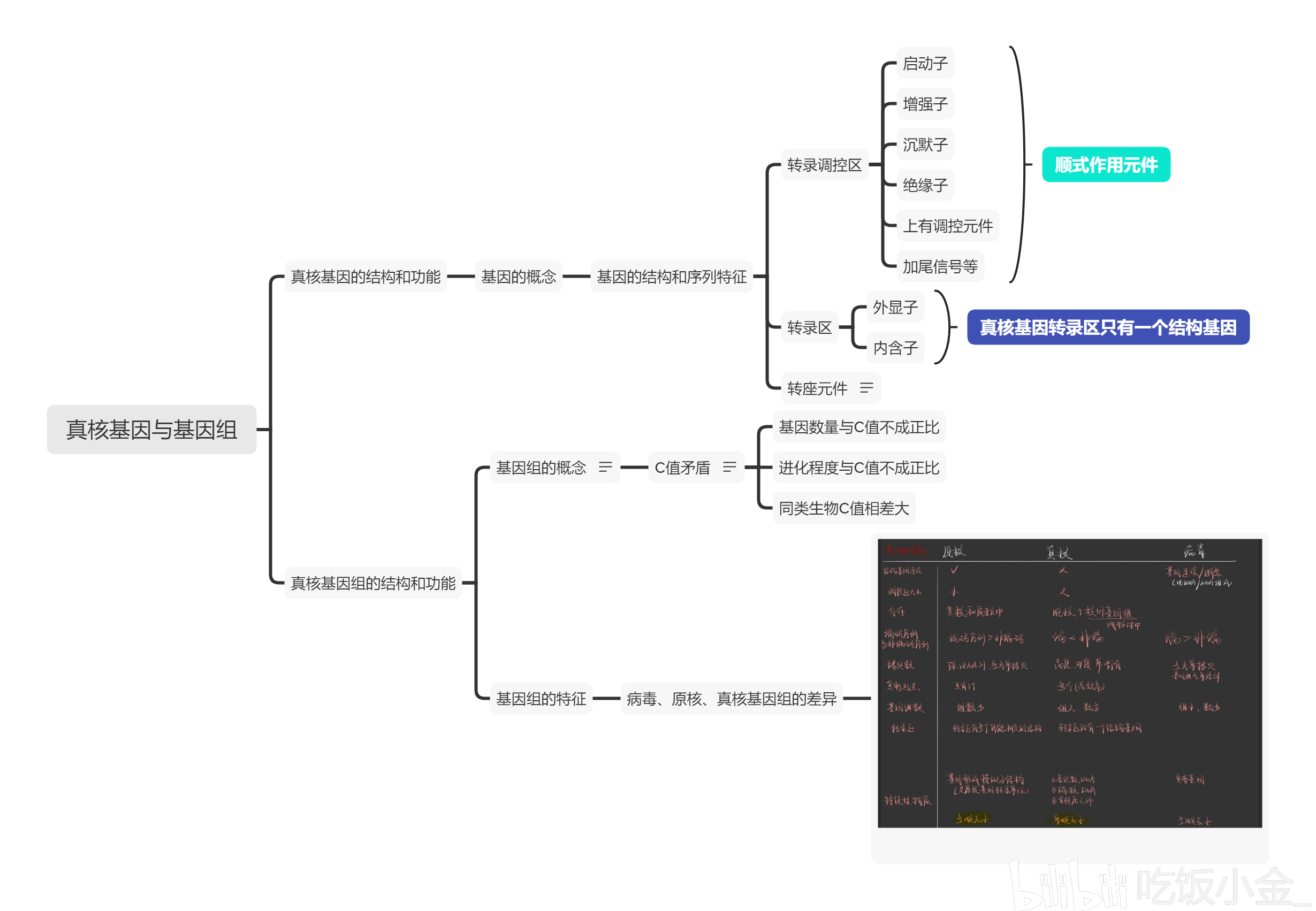 分子生物学思维导图