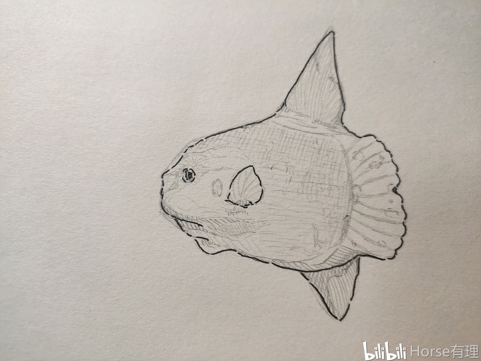 今日份练习 - 哔哩哔哩