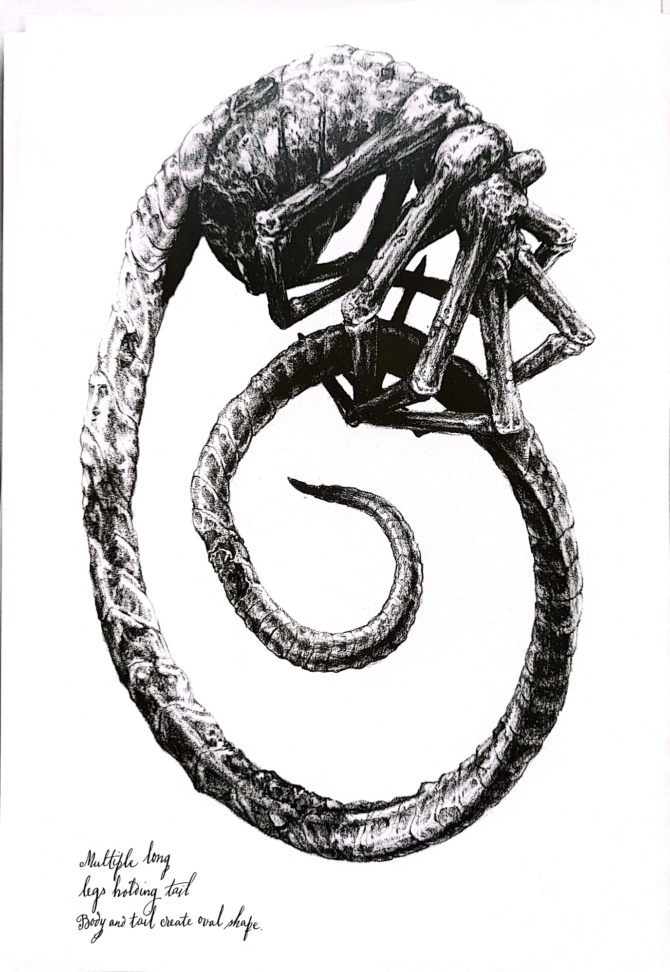 《异形》大卫手稿 赏析 - 上