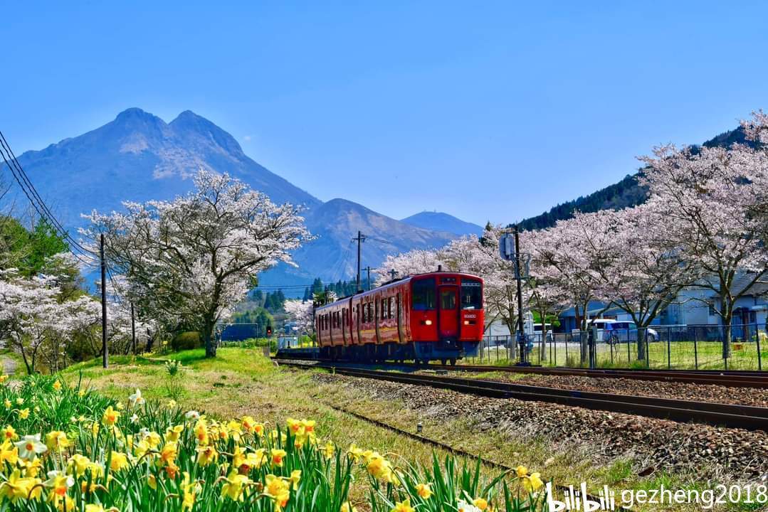 九州 大分 久大線の春 哔哩哔哩