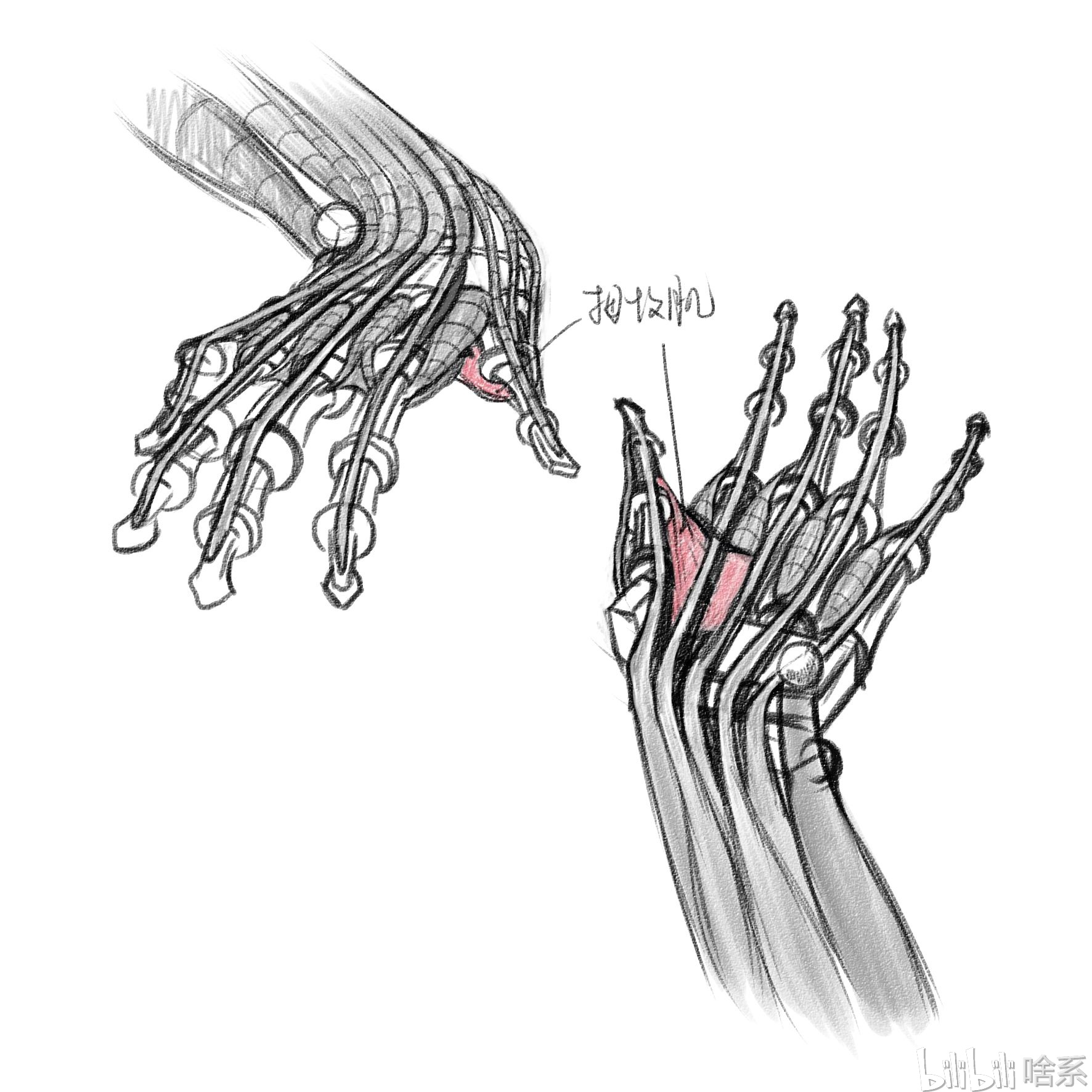 手部骨骼解剖图解,手腕八块骨头的部位图 - 伤感说说吧