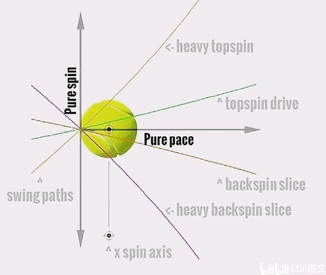 网球的旋转类型,球场区域