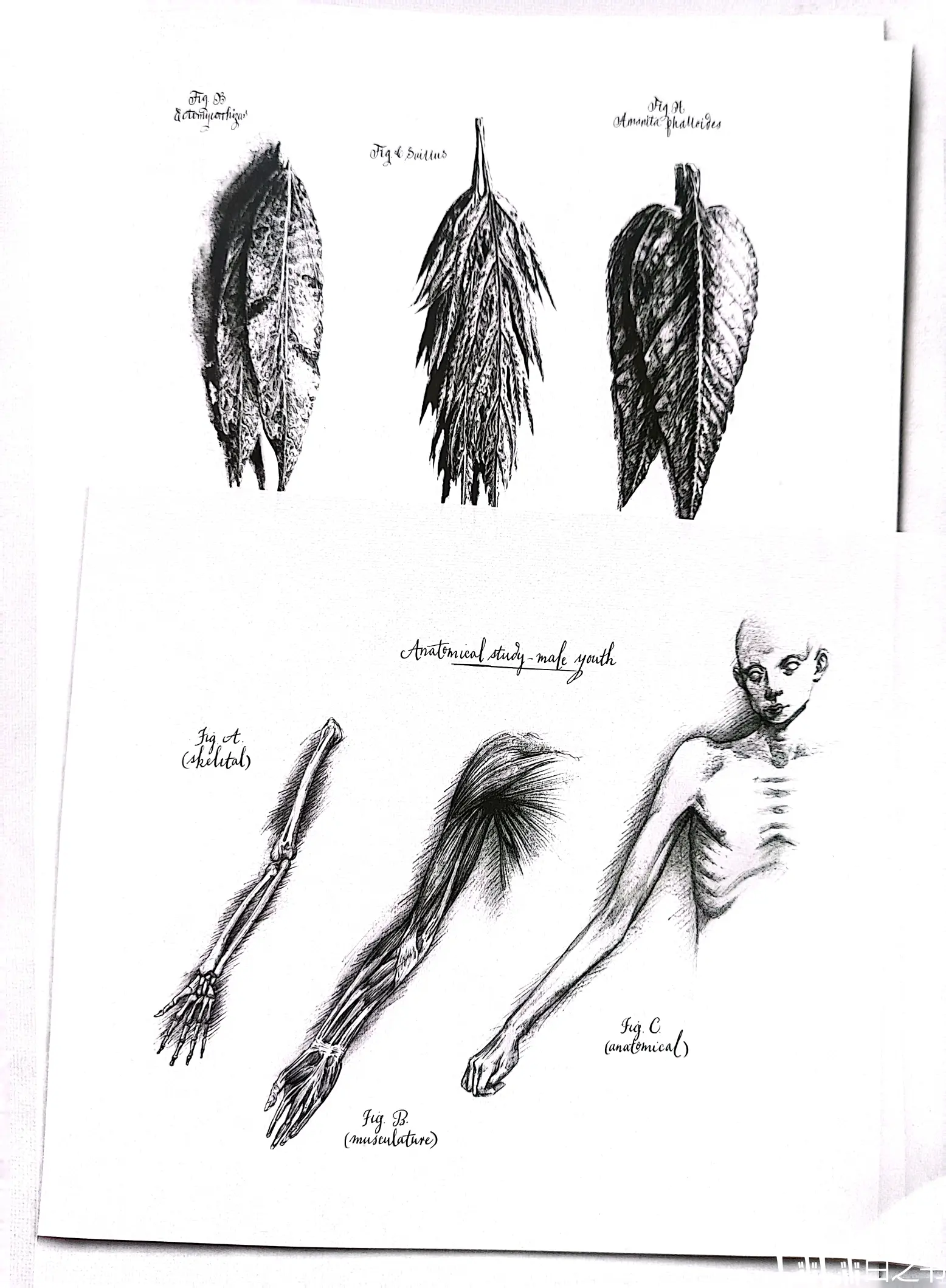 《异形》大卫手稿 赏析 - 上