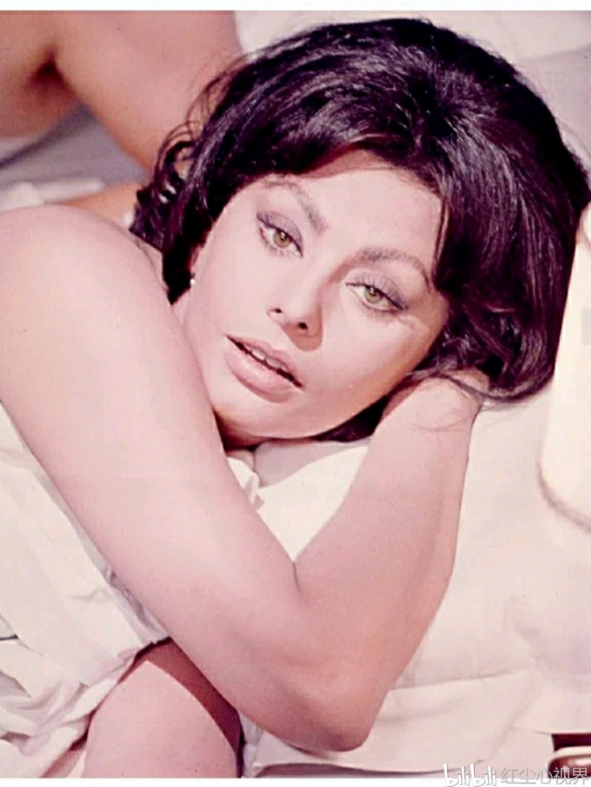 意大利经典美女偶像:20世纪50年代和60年代索菲娅·罗兰