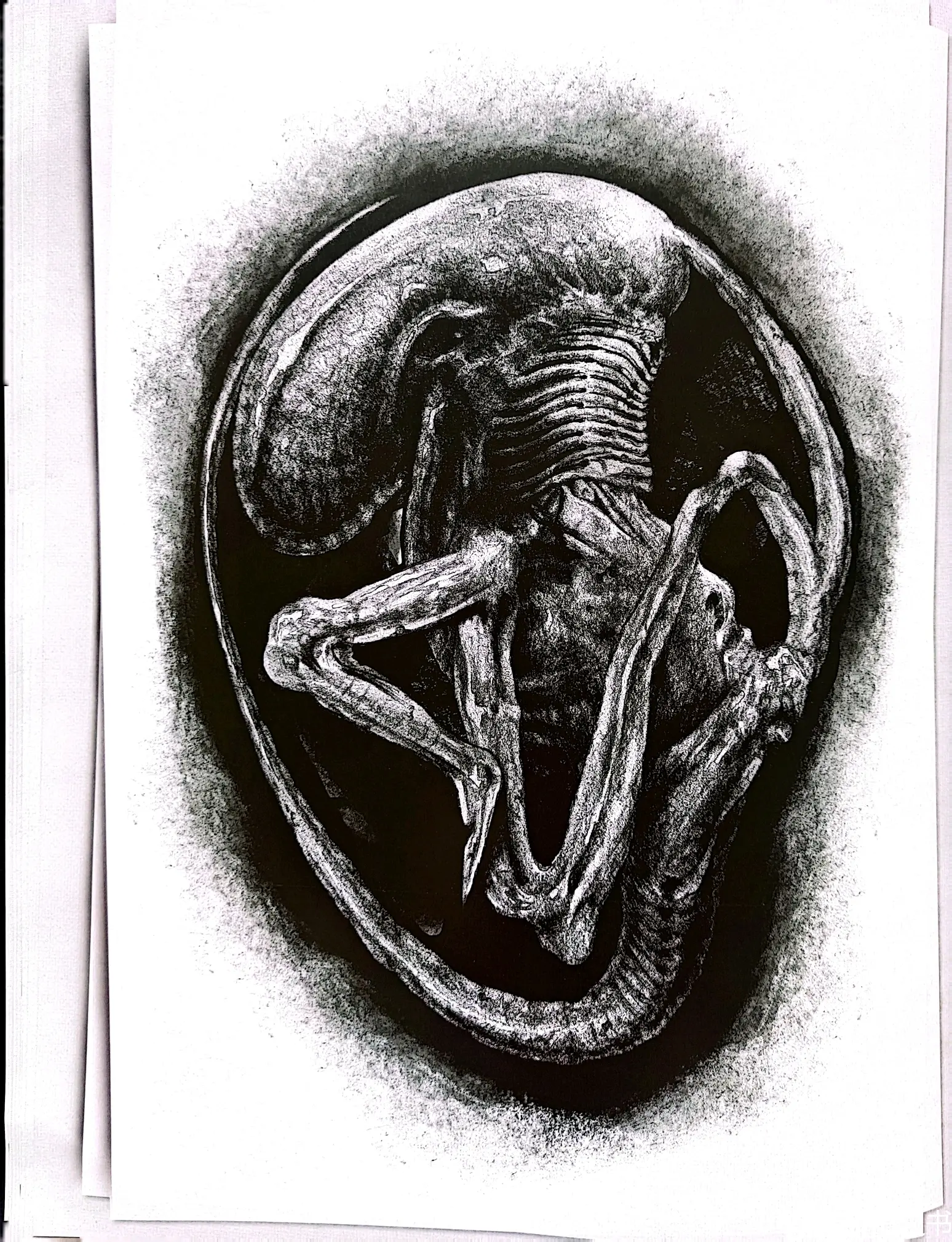 《异形》大卫手稿 赏析 - 上