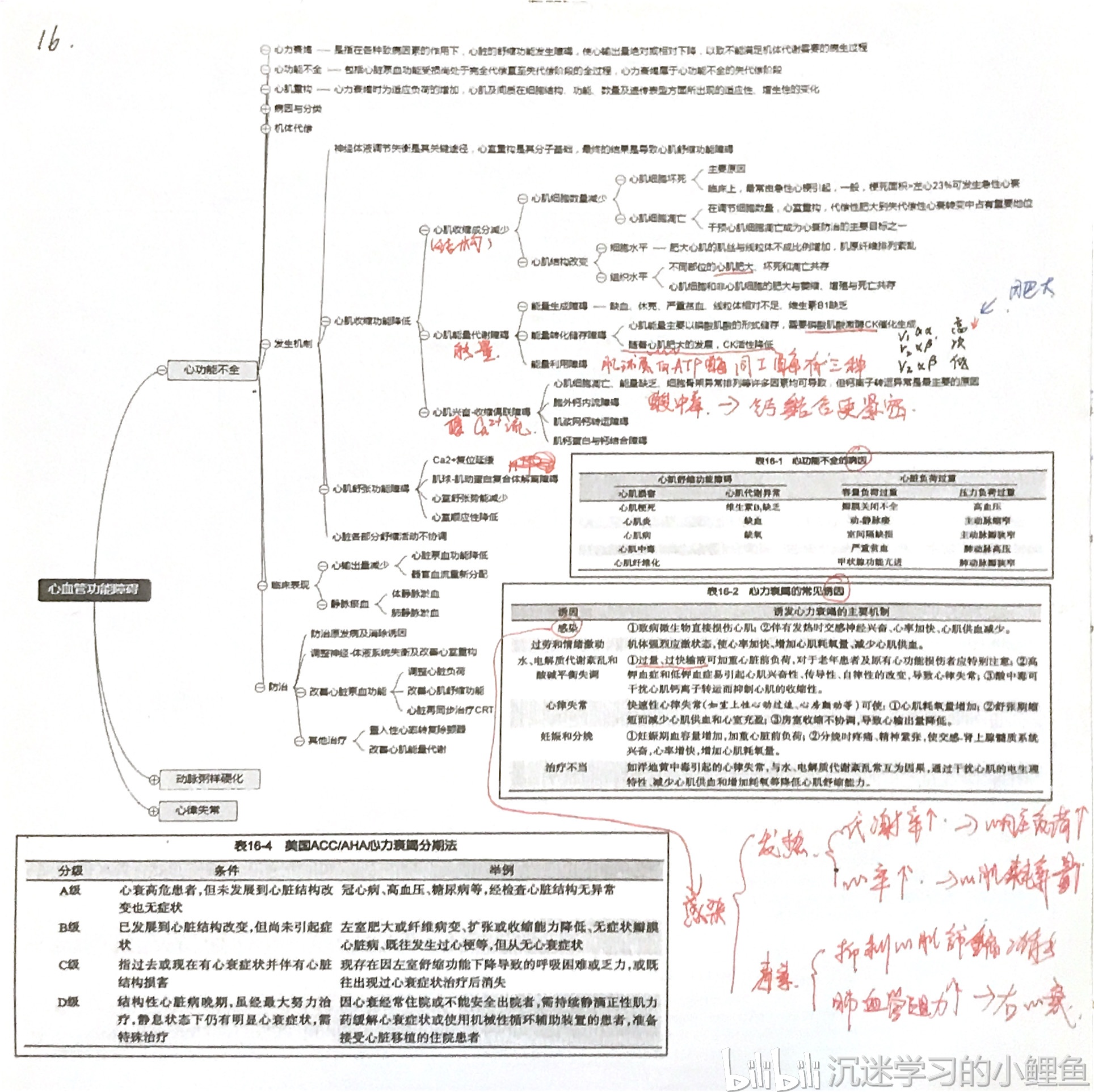 病理生理学思维导图9