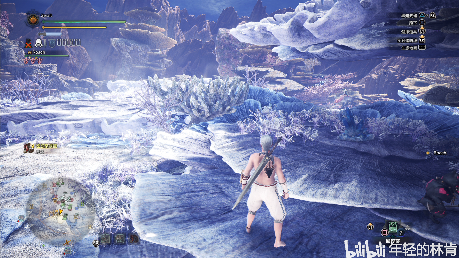 怪物猎人世界:冰原 陆珊瑚台地 台地演奏族 观察委托任务