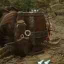 【怪猎崛起MHRise】金狮子 大小金攻略（包含特殊尺寸小金）