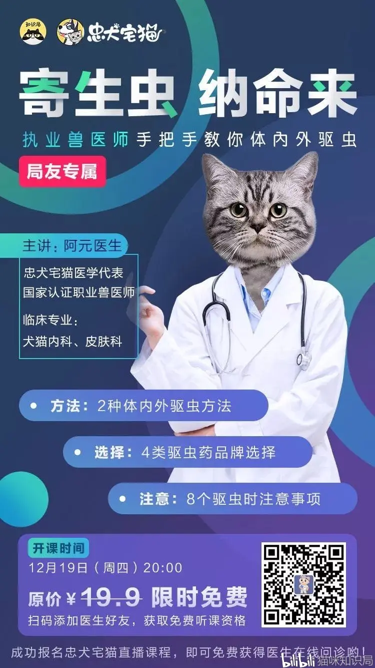 未满月的小奶猫吐虫 不给猫驱虫的后果竟有这么严重 哔哩哔哩