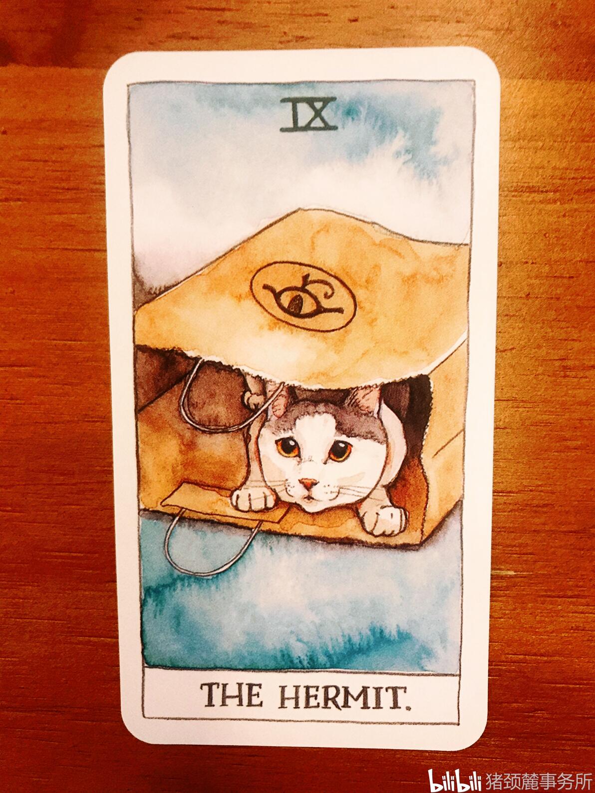 猫猫塔罗牌中文解说之隐士 - 哔哩哔哩