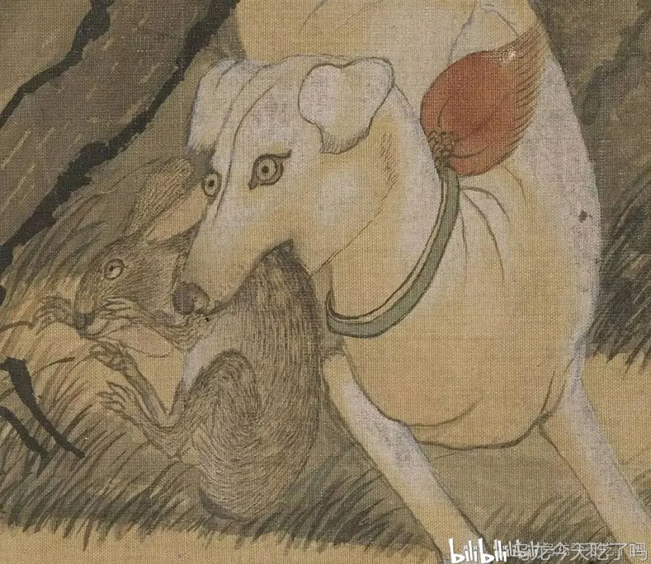 中国本土 哮天犬 坚韧美丽又优雅的本土犬种 上 哔哩哔哩