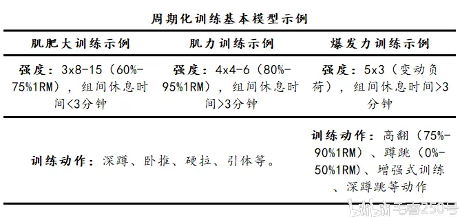 周期化训练 基本应用 哔哩哔哩